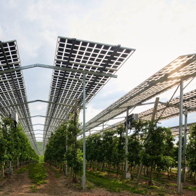 agrisolar