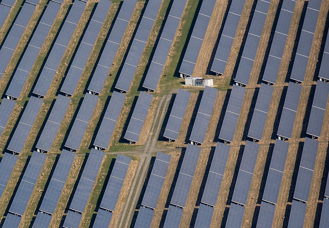 Agrisolar: Synergie von Landwirtschaft und Solarenergie
